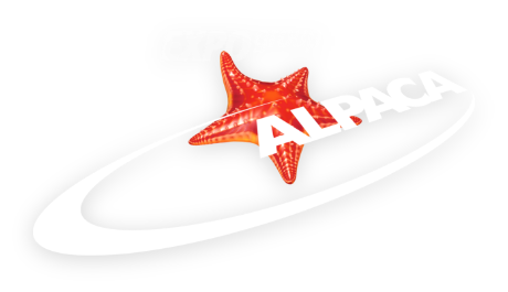 Logo Alpaca Expo Group